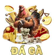 Ưu đãi giá trị thực net1
