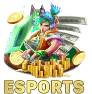 Hỗ trợ khách hàng 24/7 net1